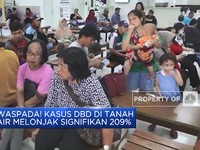 Video: Waspada! Kasus DBD di Tanah Air Melonjak Hingga 209%