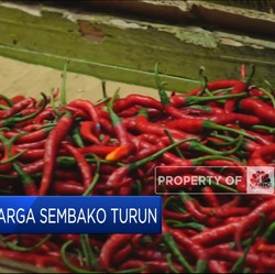 Video: Hore! Harga Sembako Kompak Turun