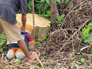 Hal Mengerikan Terungkap Saat Rekonstruksi Kematian Anak TK di Sukabumi