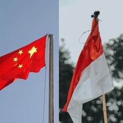 RI Ternyata Rintis Aliansi dengan China Soal Ini