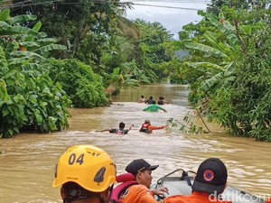 Walhi Sulsel Minta Pemda Setop Sementara Aktivitas Tambang Emas di Latimojong