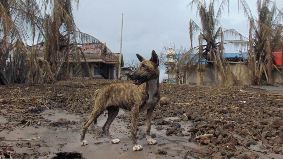 Kondisi bangunan yang rusak akibat terdampak luetusan Gunung Ruang di desa Laingpatehi, Kabupaten Kepulauan Sitaro, Provinsi Sulawesi Utara, Jumat (3/5/2024). (REUTERS/Chermanto Tjaombah)
