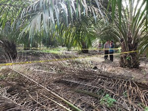 Ditemukan Tinggal Kerangka, Pemas Sering Tak Pulang-Sempat Dicari di Medsos