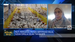 Video: Sanksi Bagi Rumah Potong Cs yang Tak Punya Sertifikasi Halal