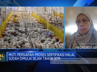 Video: Sanksi Bagi Rumah Potong Cs yang Tak Punya Sertifikasi Halal