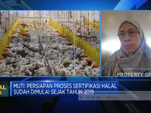 Video: Sanksi Bagi Rumah Potong Cs yang Tak Punya Sertifikasi Halal