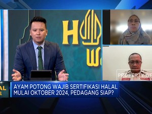 Video:Ayam Potong Wajib Sertifikasi Halal Oktober 2024, Pedagang Siap?