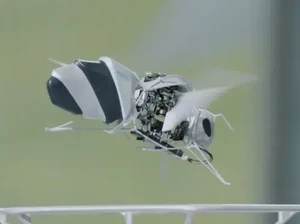 Wow! Ilmuwan Bisa Bikin Robot Lebah