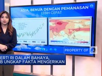 Video: RI Dalam Bahaya, PBB Ungkap Fakta Mengerikan