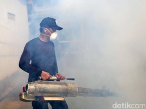 Kematian Akibat DBD di RI Naik Nyaris 3 Kali Lipat, Terbanyak dari Kelompok Ini