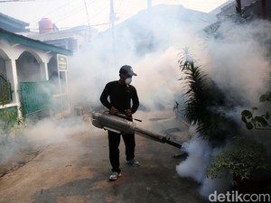 Kasus DBD di Indonesia Melonjak, Terbanyak dari Jabar