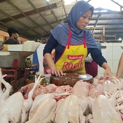 Tok! Rumah Potong-Pedagang Ayam Wajib Sertifikasi Halal Tahun Depan