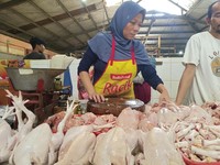 Penjualan Ayam Potong Wajib Bersertifikat Halal, Ini Respons Pedagang