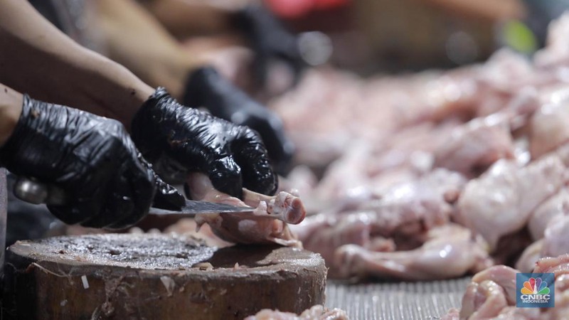 Pekerja memilah potongan ayam untuk dimasukkan ke dalam plastik kemasan di Rumah Potong Hewan (RPH) Unggas, Pasar Minggu, Jakarta Selatan, Selasa (7/5/2024). (CNBC Indonesia/Muhammad Sabki)
