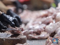 Industri Halal Bisa Jadi Motor Pertumbuhan Ekonomi Indonesia 2045
