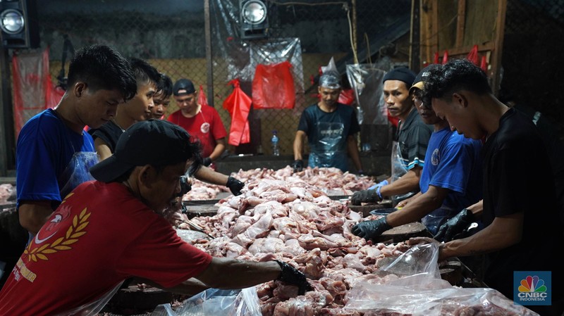 Pekerja memilah potongan ayam untuk dimasukkan ke dalam plastik kemasan di Rumah Potong Hewan (RPH) Unggas, Pasar Minggu, Jakarta Selatan, Selasa (7/5/2024). Pekerja memilah potongan ayam untuk dimasukkan ke dalam plastik kemasan di Rumah Potong Hewan (RPH) Unggas, Pasar Minggu, Jakarta Selatan, Selasa (7/5/2024). (CNBC Indonesia/Muhammad Sabki)