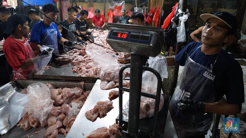 Pekerja memilah potongan ayam untuk dimasukkan ke dalam plastik kemasan di Rumah Potong Hewan (RPH) Unggas, Pasar Minggu, Jakarta Selatan, Selasa (7/5/2024). (CNBC Indonesia/Muhammad Sabki)