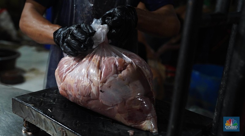 Pekerja memilah potongan ayam untuk dimasukkan ke dalam plastik kemasan di Rumah Potong Hewan (RPH) Unggas, Pasar Minggu, Jakarta Selatan, Selasa (7/5/2024). Pekerja memilah potongan ayam untuk dimasukkan ke dalam plastik kemasan di Rumah Potong Hewan (RPH) Unggas, Pasar Minggu, Jakarta Selatan, Selasa (7/5/2024). (CNBC Indonesia/Muhammad Sabki)