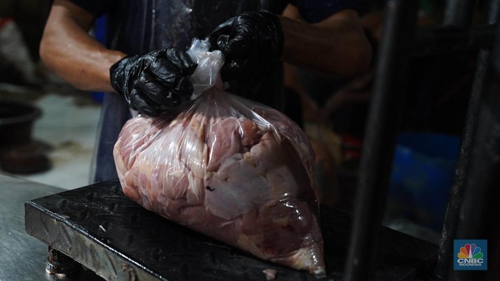 Pekerja memilah potongan ayam untuk dimasukkan ke dalam plastik kemasan di Rumah Potong Hewan (RPH) Unggas, Pasar Minggu, Jakarta Selatan, Selasa (7/5/2024). (CNBC Indonesia/Muhammad Sabki)