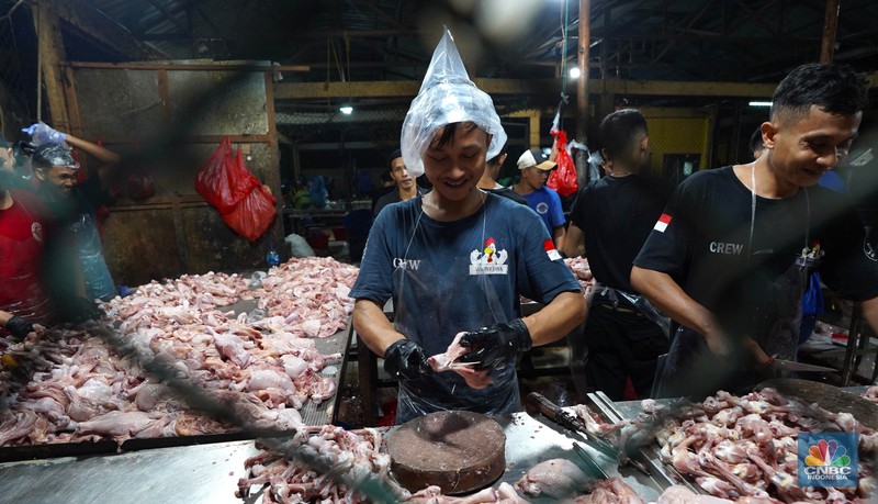 Pekerja memilah potongan ayam untuk dimasukkan ke dalam plastik kemasan di Rumah Potong Hewan (RPH) Unggas, Pasar Minggu, Jakarta Selatan, Selasa (7/5/2024). (CNBC Indonesia/Muhammad Sabki)