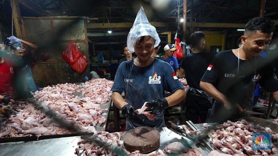 Pekerja memilah potongan ayam untuk dimasukkan ke dalam plastik kemasan di Rumah Potong Hewan (RPH) Unggas, Pasar Minggu, Jakarta Selatan, Selasa (7/5/2024). (CNBC Indonesia/Muhammad Sabki)