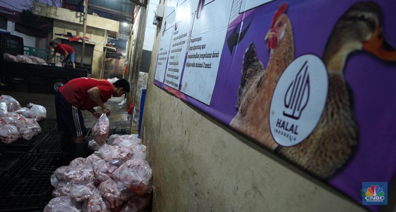 Pekerja memilah potongan ayam untuk dimasukkan ke dalam plastik kemasan di Rumah Potong Hewan (RPH) Unggas, Pasar Minggu, Jakarta Selatan, Selasa (7/5/2024). (CNBC Indonesia/Muhammad Sabki)