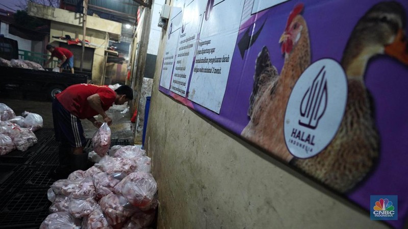 Pekerja memilah potongan ayam untuk dimasukkan ke dalam plastik kemasan di Rumah Potong Hewan (RPH) Unggas, Pasar Minggu, Jakarta Selatan, Selasa (7/5/2024). (CNBC Indonesia/Muhammad Sabki)