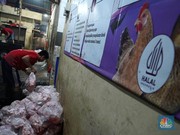 Pekerja memilah potongan ayam untuk dimasukkan ke dalam plastik kemasan di Rumah Potong Hewan (RPH) Unggas, Pasar Minggu, Jakarta Selatan, Selasa (7/5/2024). (CNBC Indonesia/Muhammad Sabki)