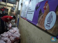 Pekerja memilah potongan ayam untuk dimasukkan ke dalam plastik kemasan di Rumah Potong Hewan (RPH) Unggas, Pasar Minggu, Jakarta Selatan, Selasa (7/5/2024). (CNBC Indonesia/Muhammad Sabki)