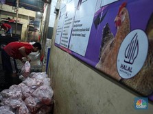 Pekerja memilah potongan ayam untuk dimasukkan ke dalam plastik kemasan di Rumah Potong Hewan (RPH) Unggas, Pasar Minggu, Jakarta Selatan, Selasa (7/5/2024). (CNBC Indonesia/Muhammad Sabki)