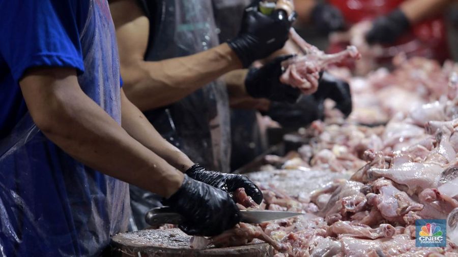 Pekerja memilah potongan ayam untuk dimasukkan ke dalam plastik kemasan di Rumah Potong Hewan (RPH) Unggas, Pasar Minggu, Jakarta Selatan, Selasa (7/5/2024). (CNBC Indonesia/Muhammad Sabki)