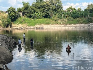 Bengawan Solo Tercemar Limbah Ciu, DLH Sukoharjo Surati Produsen Etanol