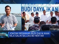 Video: Jokowi Bakal Minta Prabowo Alokasikan APBN Untuk Tambak Nila