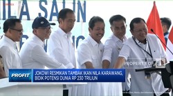 Video: Jokowi Resmikan Tambak Ikan Nila Karawang
