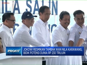 Video: Jokowi Resmikan Tambak Ikan Nila Karawang