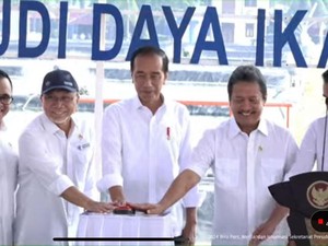 Jokowi Resmikan Modeling Budi Daya Ikan Nila: Demand Pasar Dunia Sangat Besar