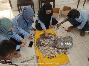 Penjual Martabak Bayar DP Rumah Pakai Uang Koin Rp 45 Juta, Dihitung 7 Jam