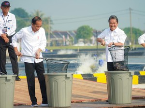 Tambak Ikan Nila Salin Siap Jadi Lokomotif Industrialisasi di RI