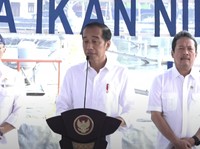 Jokowi Resmikan Tambak Ikan Nila Karawang, Bidik Potensi Dunia Rp230 T