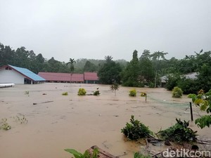 Legislator Wajo Soroti Penebangan Pohon Picu Banjir, Desak Rehabilitasi Hutan