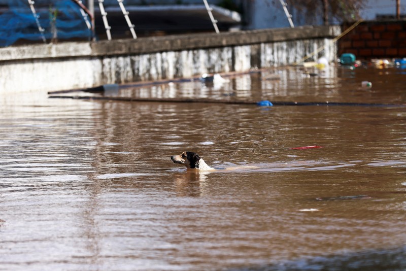 Pesawat kargo terendam banjir di Bandara Porto Alegre, Rio Grande do Sul, Brasil, Selasa (7/5/2024). (REUTERS/Diego Vara) Pesawat kargo terendam banjir di Bandara Porto Alegre, Rio Grande do Sul, Brasil, Selasa (7/5/2024). (REUTERS/Diego Vara)