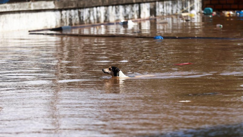 Foto udara menampilkan kondisi Stadion Beira Rio yang terendam banjir di Porto Alegre, Rio Grande do Sul, Brasil, Selasa (7/5/2024). (AP Photo/Carlos Macedo)