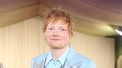 Ed Sheeran Punya Misi Mulia Kembalikan Hutan di Inggris