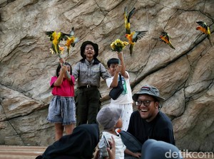 7 Rekomendasi Wisata Edukasi Anak Bernuansa Alam untuk Akhir Pekan