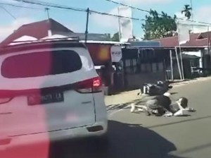 Mengungkap Identitas Mobil Putih yang Tabrak Lari Pemotor Wanita di Bengkulu