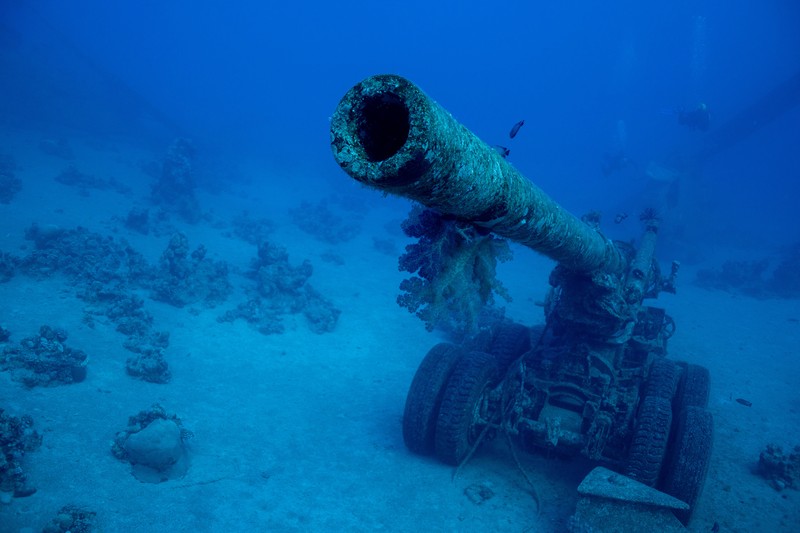 Seorang penyelam berenang di samping kendaraan militer yang tenggelam di Museum Militer Bawah Air di Aqaba, Yordania, 7 Mei 2024. (REUTERS/Stelios Misinas)     TPX IMAGES OF THE DAY