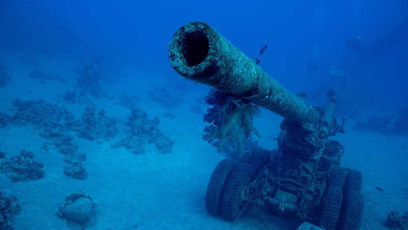Seorang penyelam berenang di samping kendaraan militer yang tenggelam di Museum Militer Bawah Air di Aqaba, Yordania, 7 Mei 2024. (REUTERS/Stelios Misinas)     TPX IMAGES OF THE DAY