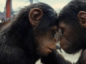 Kingdom of the Planet of the Apes Rajai Box Office China