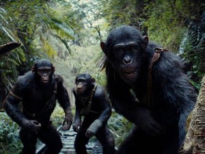 Kok Gak Ada Caesar di Kingdom of the Planet of the Apes?