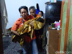 Balita 3 Tahun di Tulungagung Tewas Dibunuh Ayah Kandungnya